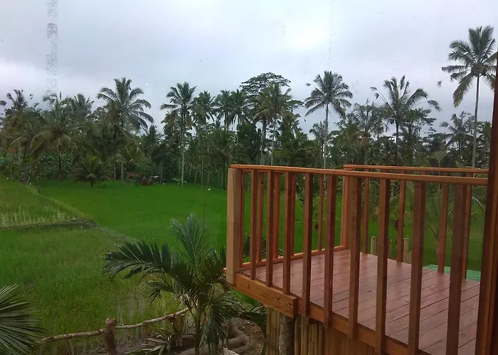 Patas Luxsery Penginyahan